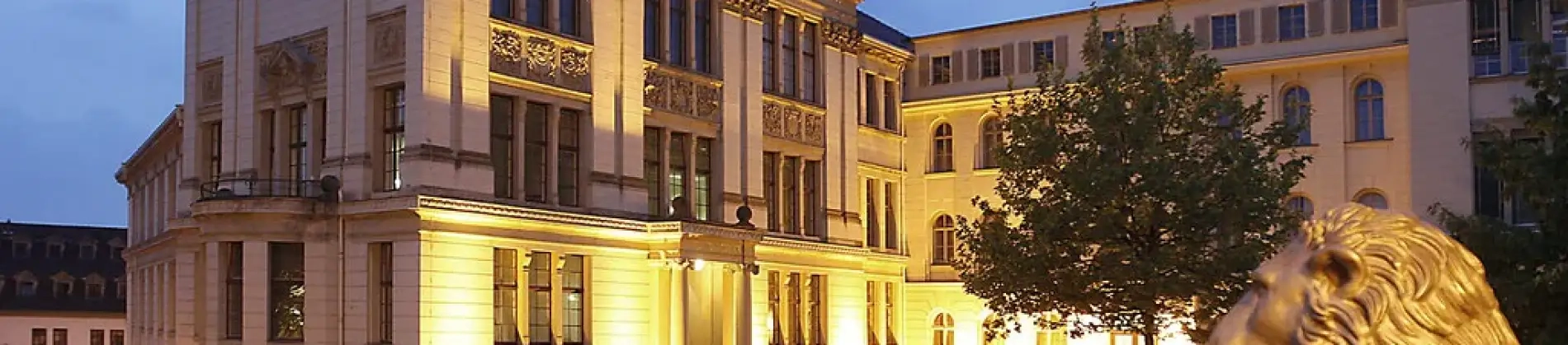 Integrated Research Training Group (iRTG) Polymers: Random Coils and Beyond